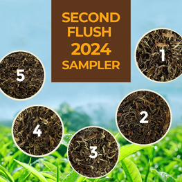 Darjeeling Second Flush 2024 Sampler Pack