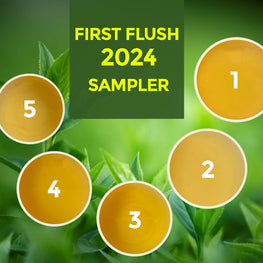 Darjeeling First Flush 2024 Sampler