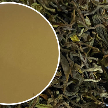 Arya - Spring Diamond Organic Darjeeling Black Tea First Flush 2024