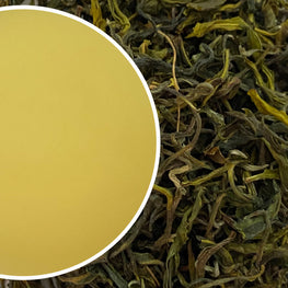 Arya - Emerald Organic Darjeeling Green Tea Second Flush 2024