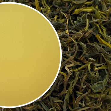 Arya - Emerald Organic Darjeeling Green Tea Second Flush 2024