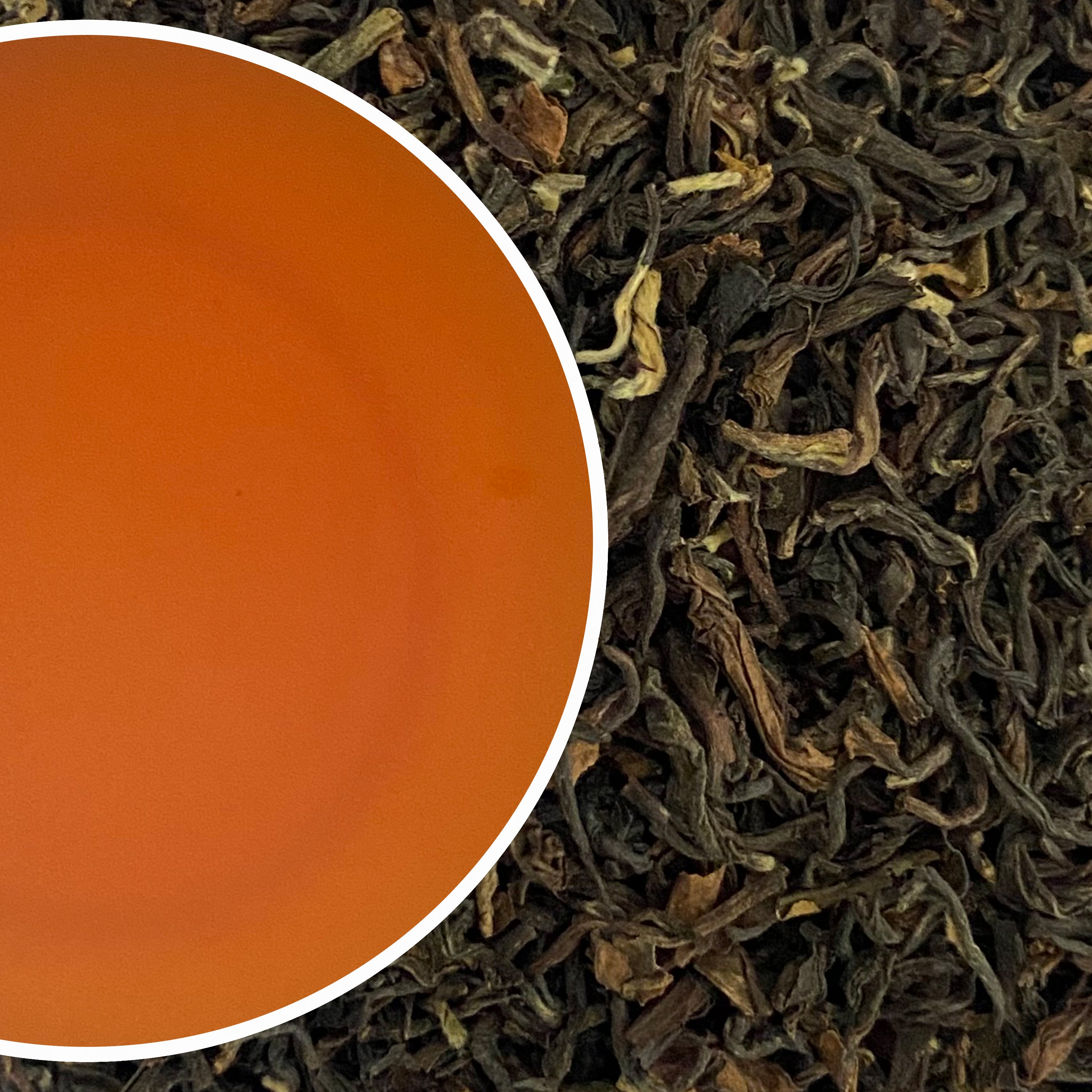 Jungpana - Muscatel Enigma Darjeeling Black Tea Second Flush 2024