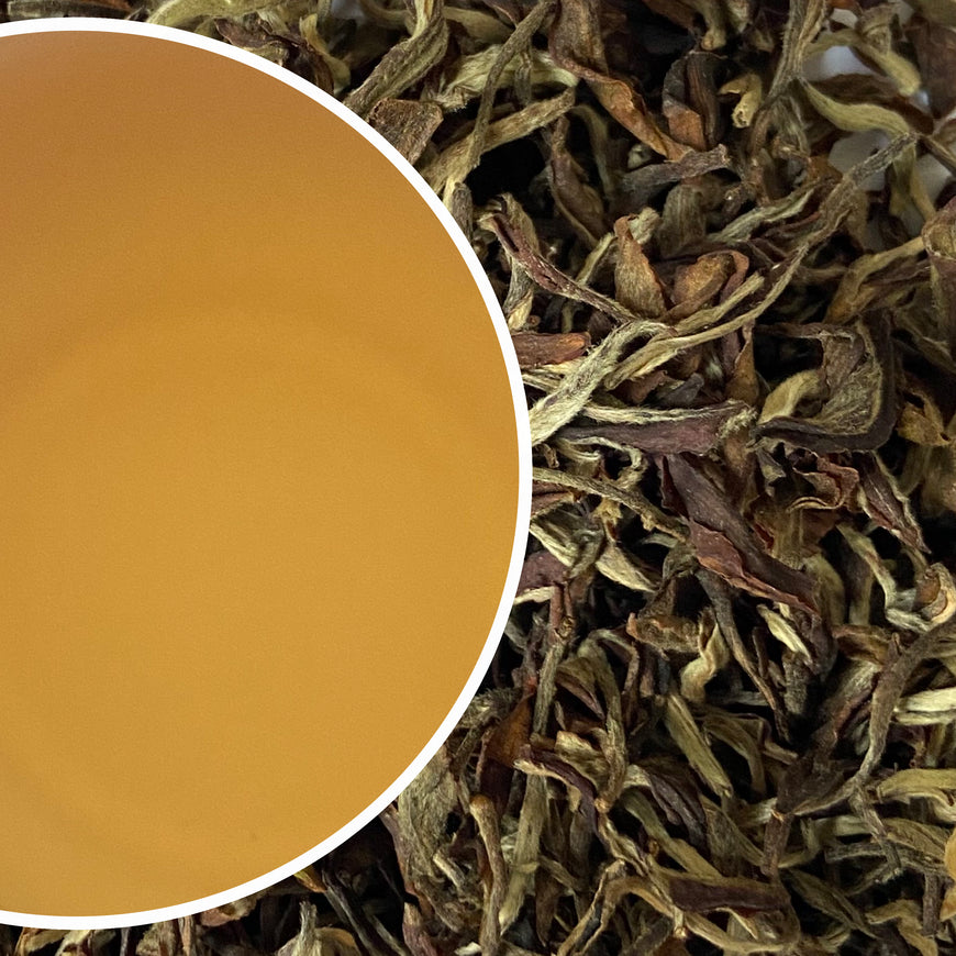 Margaret's Hope - Moonlight Mystique Darjeeling Black Tea Second Flush 2024